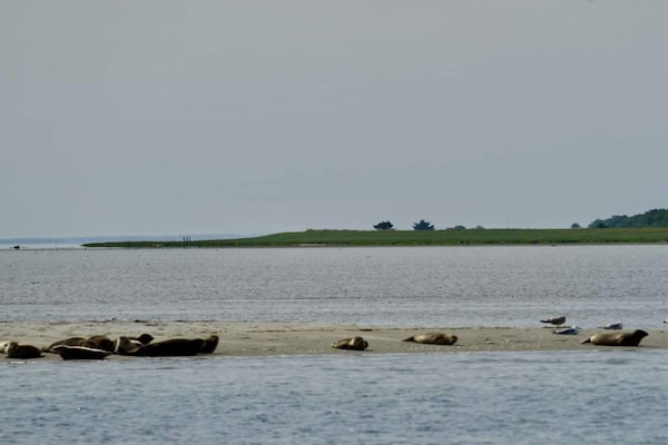 Foto van 6 persoons vakantie huis in Hadsund - Vakantiehuis in Hadsund - WaterView