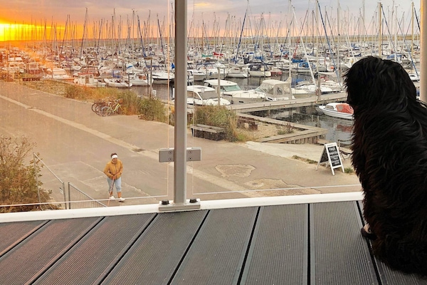 Foto van Appartement met zeezicht op de eerste rij - Vakantiehuis in Wendtorf - WaterView