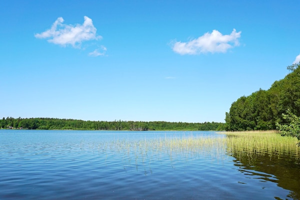 Foto van 4 persoons vakantie huis in RIMBO - Vakantiehuis in RIMBO - Outdoor