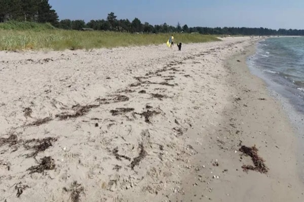 Foto van Gezellig vakantiehuis vlakbij Begtrup Vig Beach - Vakantiehuis in Knebel - WaterView
