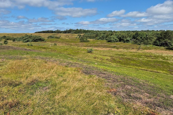 Foto van 14 persoons vakantie huis in Vejby - Vakantiehuis in Vejby - Untagged