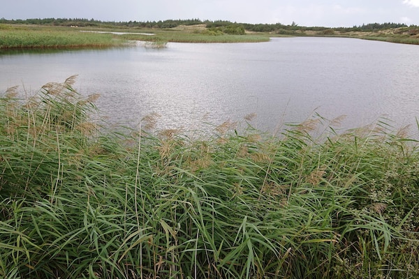 Foto van Afgelegen toevluchtsoord met uitzicht - Vakantiehuis in Vejers Strand - WaterView