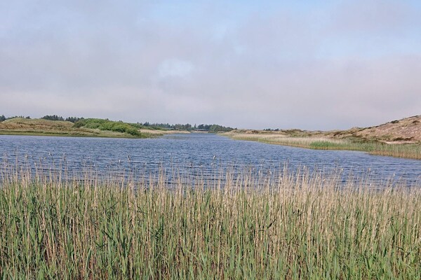 Foto van Afgelegen toevluchtsoord met uitzicht - Vakantiehuis in Vejers Strand - WaterView