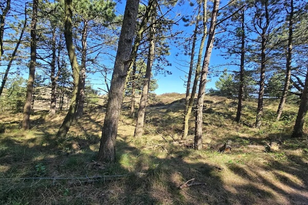 Foto van 4 persoons vakantie huis in Rømø-By Traum - Vakantiehuis in Rømø - Untagged