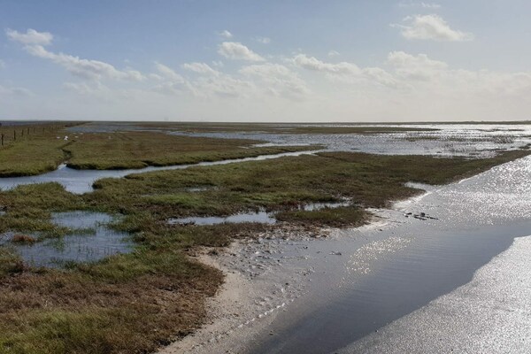 Foto van Ruim vakantiehuis met uitzicht - Vakantiehuis in Blåvand - WaterView