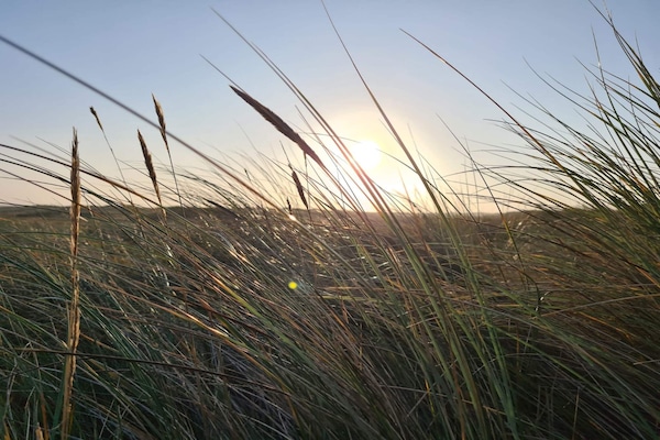 Foto van Ruim vakantiehuis met uitzicht - Vakantiehuis in Blåvand - Untagged