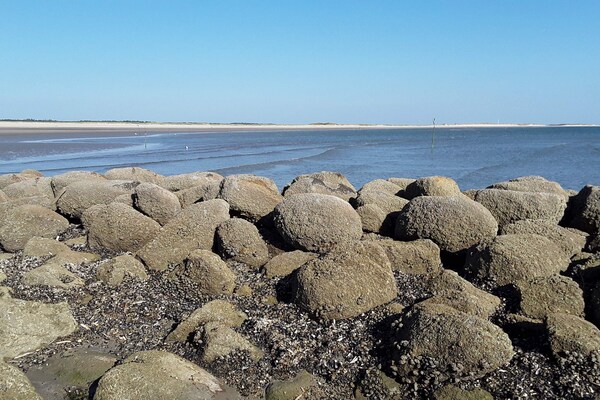 Foto van Ruim vakantiehuis met uitzicht - Vakantiehuis in Blåvand - WaterView