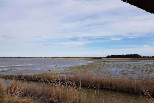 Foto van Gezinsvriendelijk vakantiehuis vlakbij het strand - Vakantiehuis in Frøstrup - WaterView