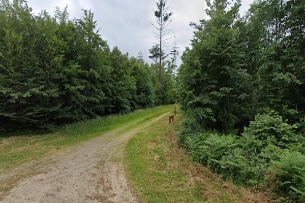 Foto van 4 persoons vakantie huis in Skærbæk-By Traum - Vakantiehuis in Skærbæk - Untagged