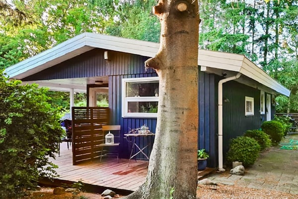 Foto van 5 persoons vakantie huis in Tranekær-By Traum - Vakantiehuis in Tranekær - Outdoor