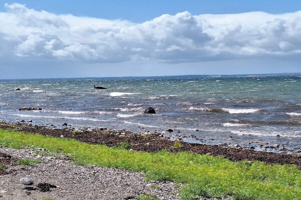 Foto van 5 persoons vakantie huis in Tranekær-By Traum - Vakantiehuis in Tranekær - WaterView
