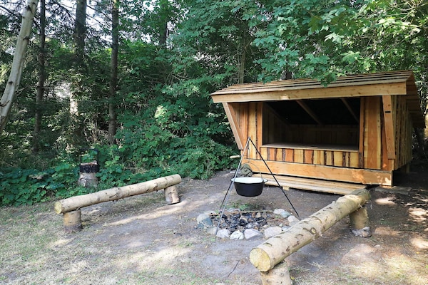 Foto van 5 persoons vakantie huis in Tranekær-By Traum - Vakantiehuis in Tranekær - View