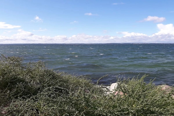 Foto van 5 persoons vakantie huis in Tranekær-By Traum - Vakantiehuis in Tranekær - WaterView