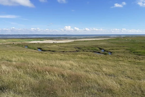 Foto van 5 persoons vakantie huis in Rømø-By Traum - Vakantiehuis in Rømø - Untagged