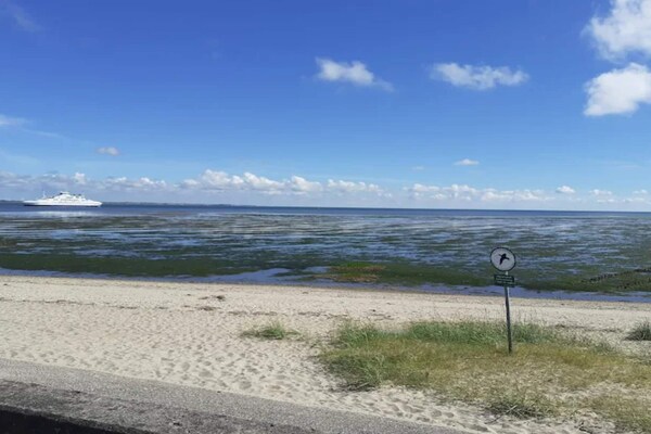 Foto van 5 persoons vakantie huis in Rømø-By Traum - Vakantiehuis in Rømø - Untagged