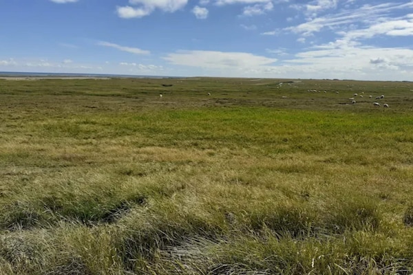 Foto van 5 persoons vakantie huis in Rømø-By Traum - Vakantiehuis in Rømø - Untagged