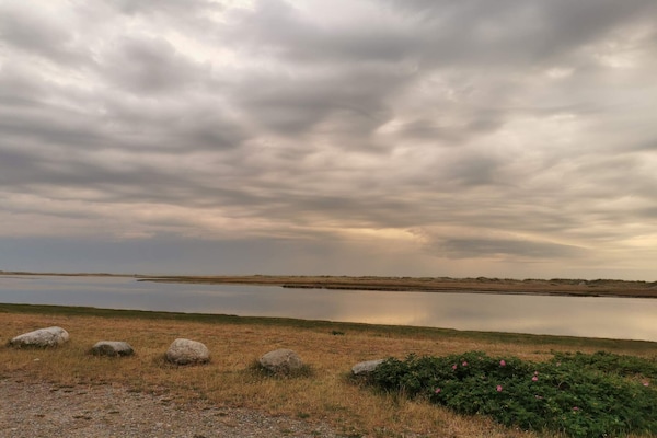 Foto van 12 persoons vakantie huis in Læsø-By Traum - Vakantiehuis in Læsø - WaterView