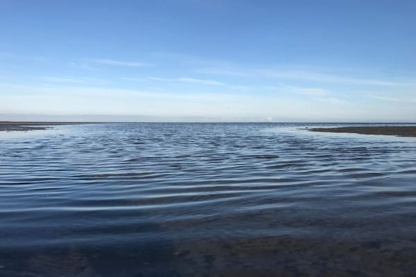 Foto van 12 persoons vakantie huis in Læsø-By Traum - Vakantiehuis in Læsø - WaterView