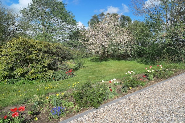 Foto van 5 persoons vakantie huis in Højer-By Traum - Vakantiehuis in Højer - Untagged