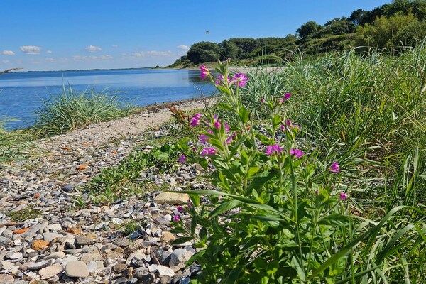 Foto van 4 persoons vakantie huis in Nykøbing M-By Traum - Vakantiehuis in Nykøbing M - WaterView