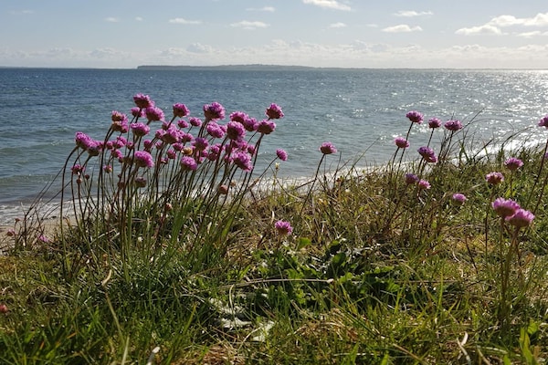 Foto van 4 persoons vakantie huis in Nykøbing M-By Traum - Vakantiehuis in Nykøbing M - WaterView