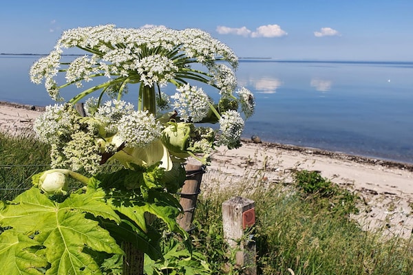 Foto van 4 persoons vakantie huis in Nykøbing M-By Traum - Vakantiehuis in Nykøbing M - WaterView