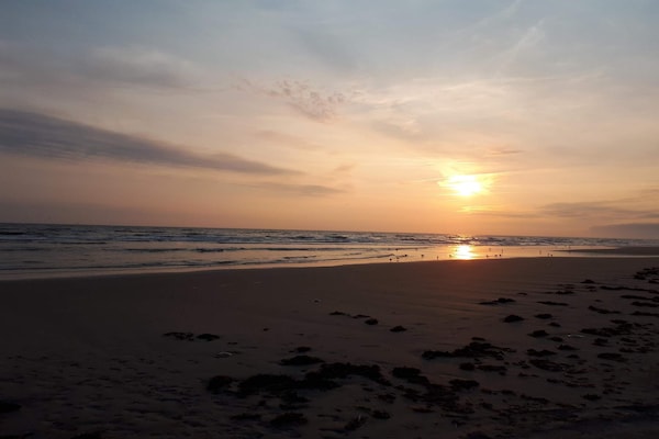 Foto van Gezellig saunahuis met barbecue - Vakantiehuis in Fanø - WaterView