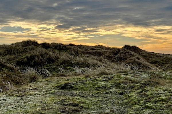 Foto van Gezellig saunahuis met barbecue - Vakantiehuis in Fanø - Untagged