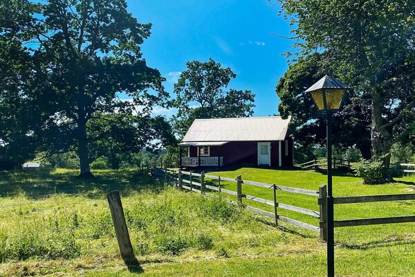 Foto van 4 persoons vakantie huis in VETLANDA-By Traum - Vakantiehuis in VETLANDA - Outdoor