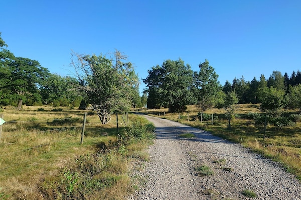 Foto van 4 persoons vakantie huis in VETLANDA-By Traum - Vakantiehuis in VETLANDA - Untagged
