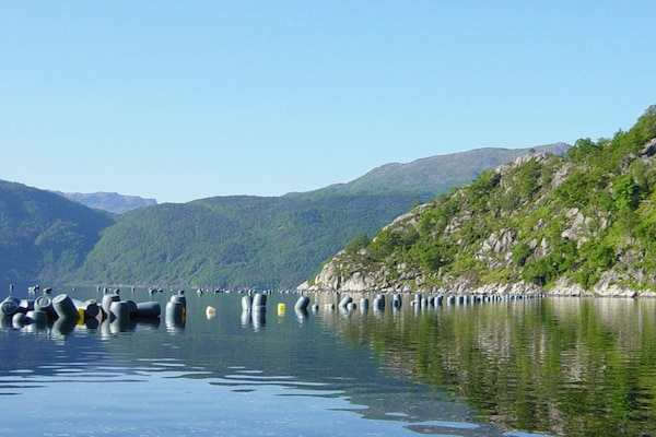 Foto van 6 persoons vakantie huis in Åkra-By Traum - Vakantiehuis in Åkra - View