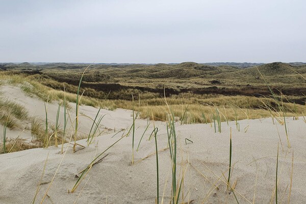 Foto van 4 persoons vakantie huis in Blåvand - Vakantiehuis in Blåvand - Untagged