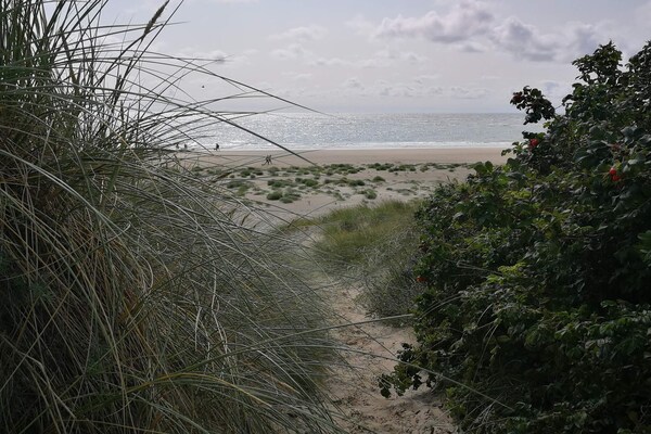 Foto van 4 persoons vakantie huis in Blåvand - Vakantiehuis in Blåvand - Untagged