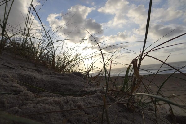 Foto van Modern Strandverblijf -- By Traum Ferienwohnungen - Vakantiehuis in Harboøre - Untagged