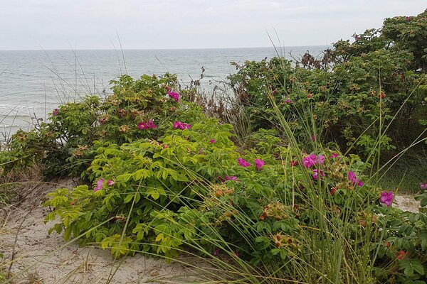 Foto van Vakantiehuis in Sæby vlakbij het strand - Vakantiehuis in Sæby - WaterView