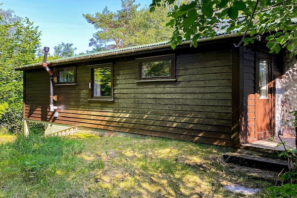 Foto van 4 persoons vakantie huis in Reksteren-By Traum - Vakantiehuis in Reksteren - Outdoor