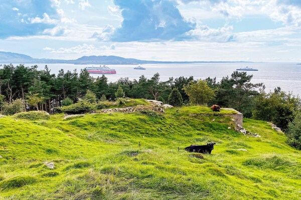 Foto van 4 persoons vakantie huis in Reksteren-By Traum - Vakantiehuis in Reksteren - Untagged