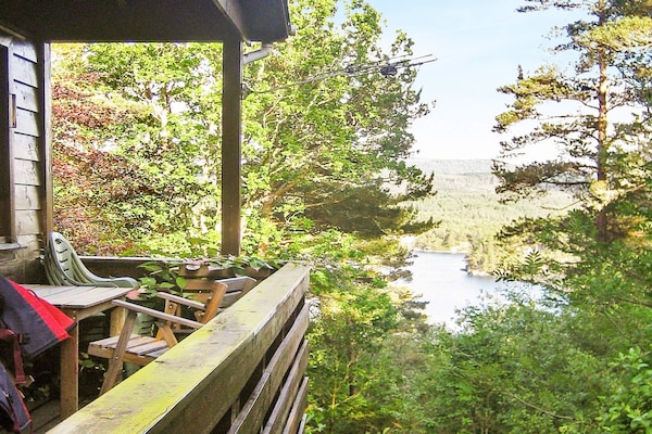 Foto van 4 persoons vakantie huis in Reksteren-By Traum - Vakantiehuis in Reksteren - Outdoor