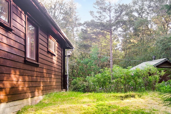 Foto van 4 persoons vakantie huis in Reksteren-By Traum - Vakantiehuis in Reksteren - Outdoor