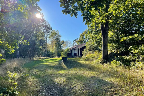Foto van 4 persoons vakantie huis in HALLABRO-By Traum - Vakantiehuis in Hallabro - Outdoor