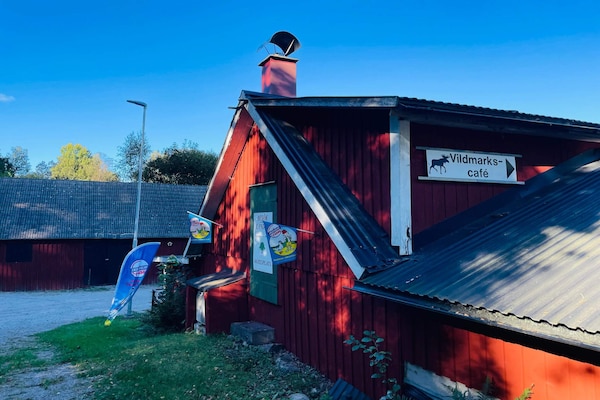 Foto van 4 persoons vakantie huis in HALLABRO-By Traum - Vakantiehuis in Hallabro - Outdoor