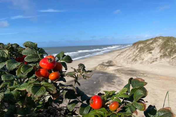 Foto van Verblijf aan het strand met uitzicht - Vakantiehuis in Ringkøbing - WaterView