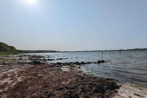 Foto van 4 persoons vakantie huis in Hejls-By Traum - Vakantiehuis in Hejls - WaterView