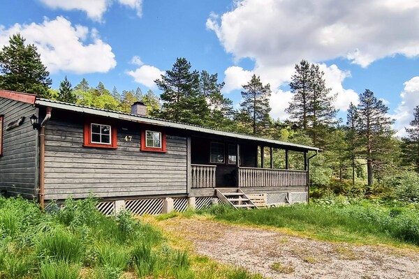 Foto van 6 persoons vakantie huis in ÅSERAL-By Traum - Vakantiehuis in Åseral - Outdoor