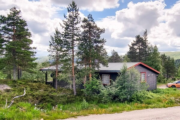 Foto van 6 persoons vakantie huis in ÅSERAL-By Traum - Vakantiehuis in Åseral - Outdoor