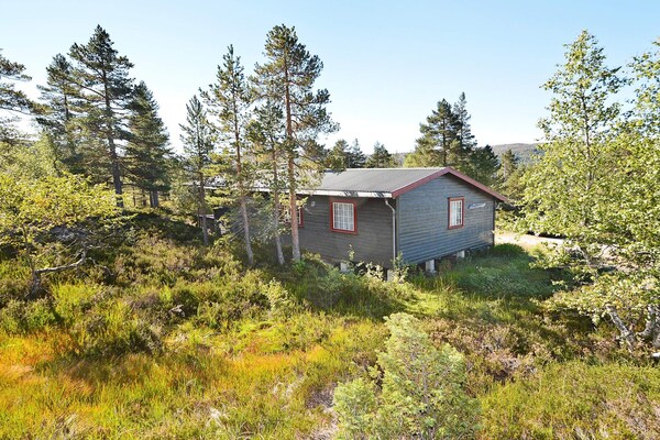 Foto van 6 persoons vakantie huis in ÅSERAL-By Traum - Vakantiehuis in Åseral - Outdoor