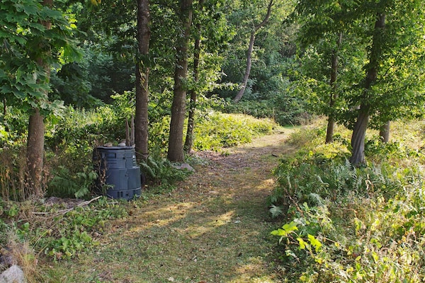 Foto van 11 persoons vakantie huis in SÖLVESBORG-By Traum - Vakantiehuis in SÖLVESBORG - Outdoor