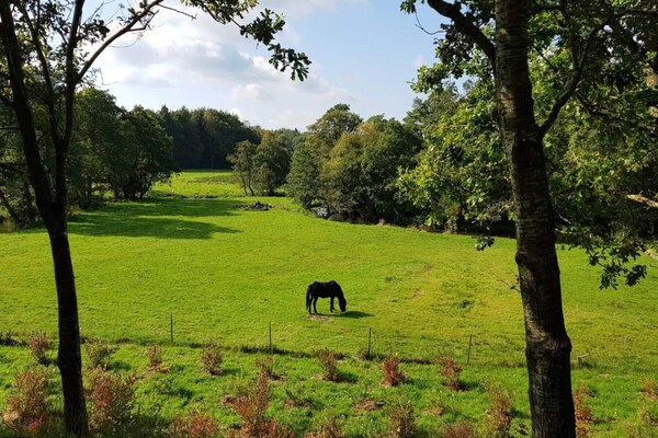 Foto van 4 persoons vakantie huis in Ansager-By Traum - Vakantiehuis in Ansager - Untagged