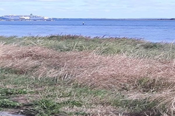 Foto van 3 persoons vakantie huis in Ærøskøbing-By Traum - Outdoor