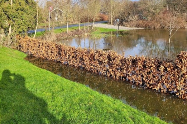 Foto van 3 persoons vakantie huis in Ærøskøbing-By Traum - Outdoor